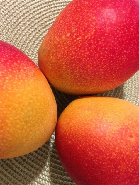 The Perfect Mango: Tips to Choose and Enjoy