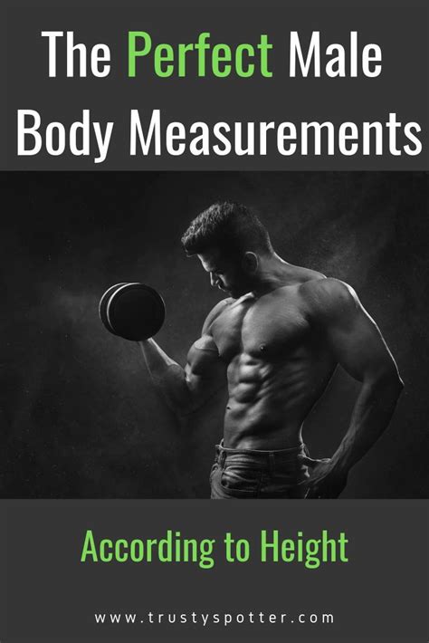 The Perfect Physique: Revealing the Ideal Measurements of Lucky B