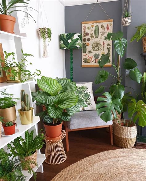 The Perks of Adding Green Plants to Your Living Space