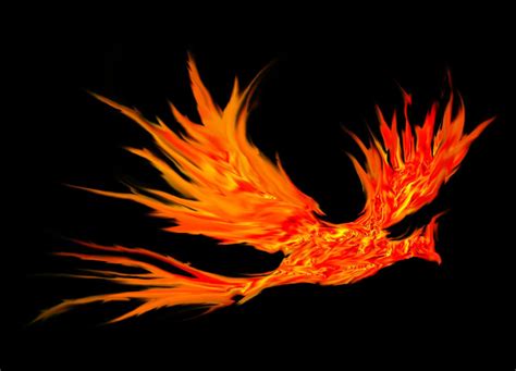 The Phoenix as a Symbol of Transformation and Personal Growth