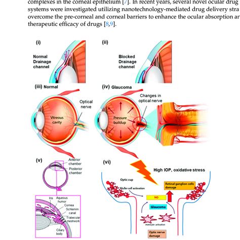 The Physiology behind a Gentle yet Potent Strike