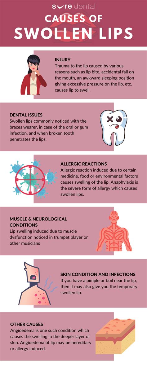 The Physiology of a Swollen Lower Lip