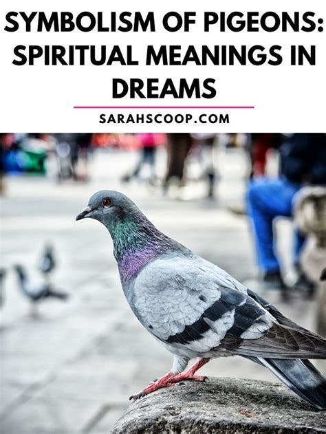 The Pigeon Egg as a Catalyst for Spiritual Awakening