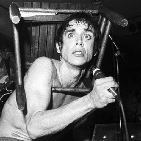 The Pioneer of Punk Rock: Iggy Pop's Influence on the Music Scene