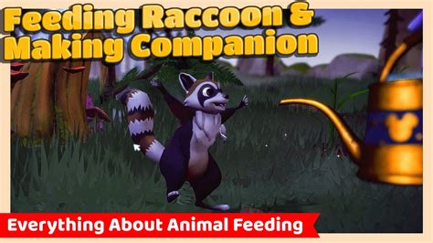 The Pleasure and Obstacles of Building a Connection with a Raccoon as a Companion