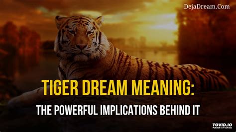 The Possible Emotional Meanings Behind Dreaming of Small Tigers