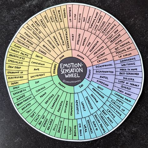 The Potential Understandings of Emotions and Sensations Experienced in the Vision