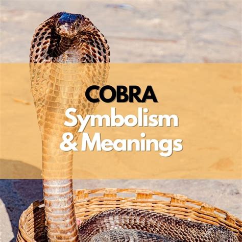 The Power and Energy Associated with Cobras