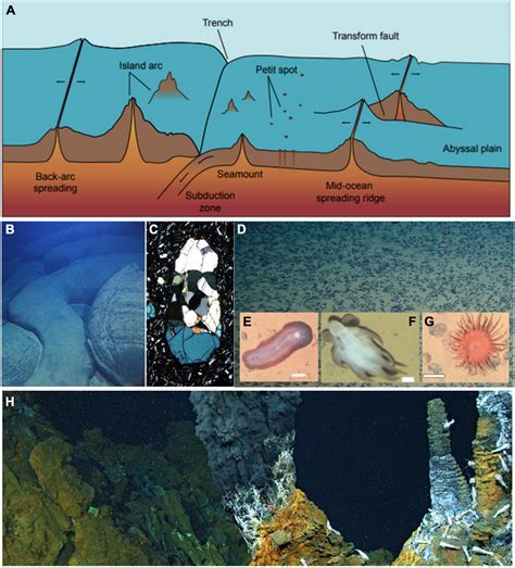 The Power and Enigma of the Abyssal Ocean