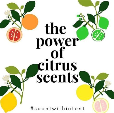 The Power of Citrus Fantasies