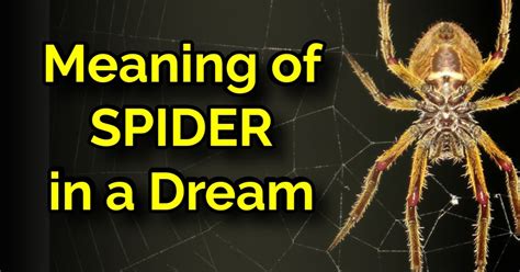 The Power of Creation: Exploring the Relationship Between Spider Spinning in Dreams and the Realm of Creativity