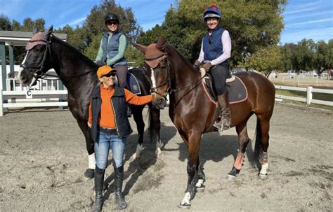 The Power of Encouragement: Motivating Your Equine Partner to Maintain Vitality and Activity