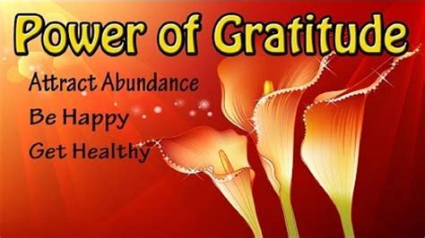 The Power of Gratitude in Attracting Abundance