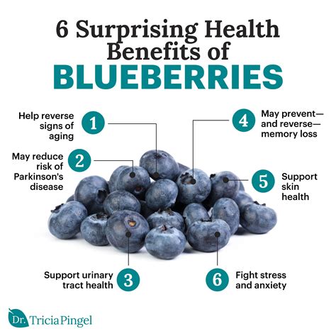 The Power of Nature's Superfoods: Discovering the Health Benefits of Berries