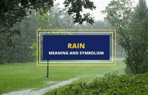 The Power of Rain: Exploring the Symbolic Interpretations