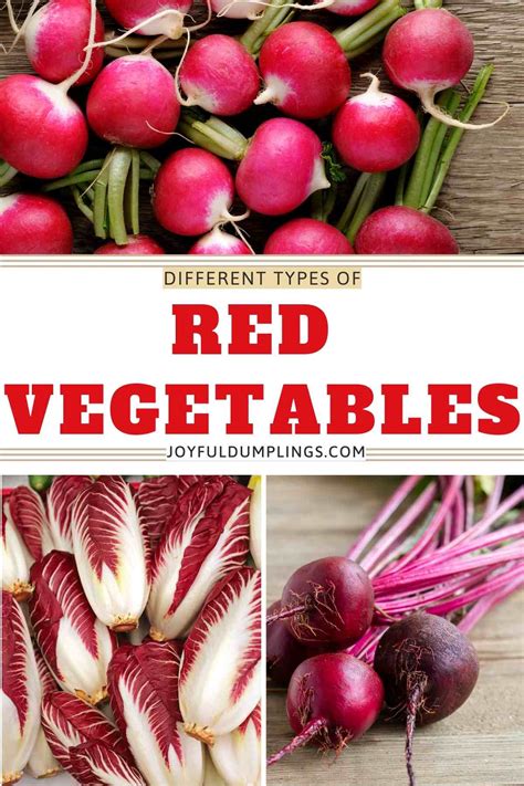 The Power of Red: Exploring the Health Benefits of Red Vegetables