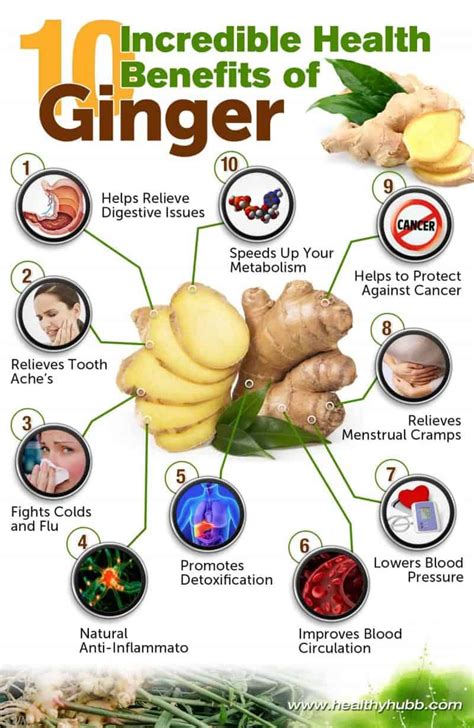 The Power of Root Ginger for Your Health