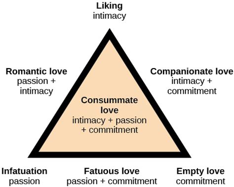 The Power of Three: The Dynamics and Challenges of a Love Triangle