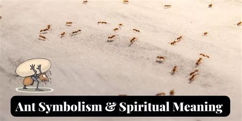 The Power of Unity: Grasping the Symbolic Meaning of Ants in the Realm of Dreams