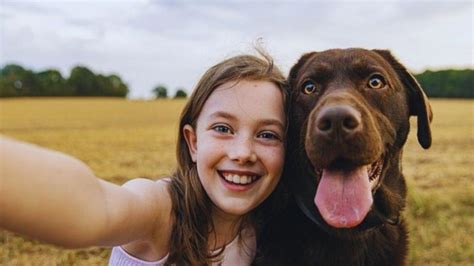 The Profound Connection: Exploring the Intertwining Relationship Between Humans and Wolves