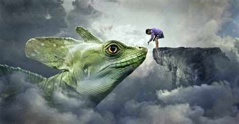 The Profound Significance of Lizards in the Realm of Dreams