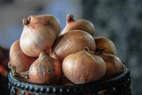 The Profound Significance of Onions in Dreams