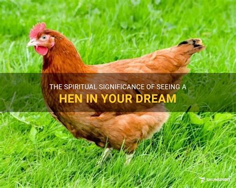 The Profound Spiritual Significance of Imagining a Pure Hen