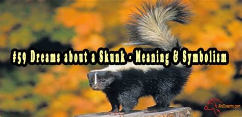 The Profound Symbolic Significance Associated with Skunk Bites in One's Dreams