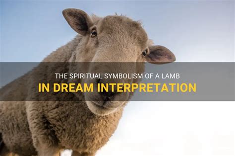 The Profound Symbolism of Infant Lambs in the Realm of Dream Interpretation