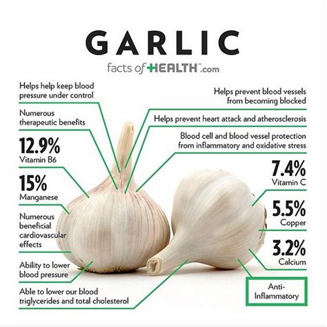 The Prominent Debate: Unraveling the Veracity of Garlic's Health Benefits