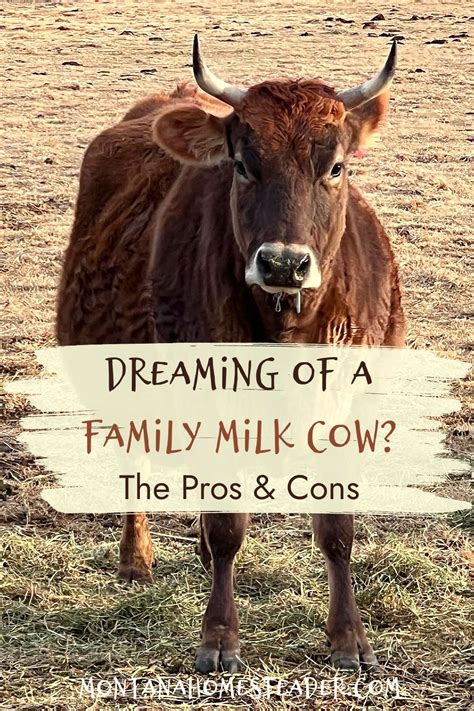 The Pros and Cons of Having a Bovine Companion