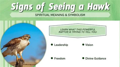 The Protective Symbolism Encoded in the Owl and Hawk: Unveiling the Spiritual Guardians