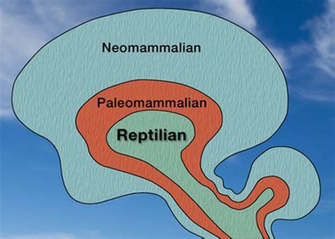 The Psychological Analysis of Experiencing a Reptilian Encounter in One's Dreams