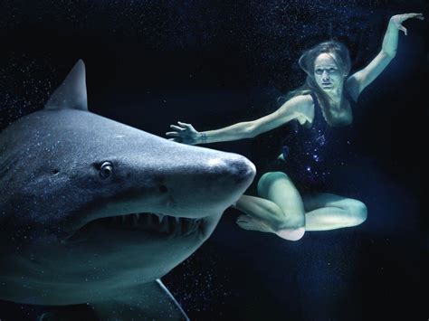 The Psychological Explanation of Dreams Involving Shark Attacks