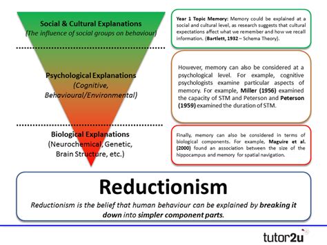 The Psychological Implications and Potential Explanations