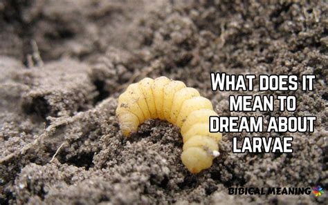 The Psychological Interpretation of Dreaming about Crimson Larvae: What Does it Reveal about our Subconscious?