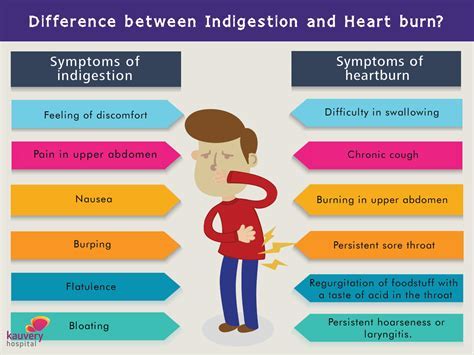 The Psychological Interpretation of Dreams Involving Stomach Sensations