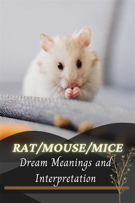 The Psychological Interpretation of Rat and Mouse Dreams