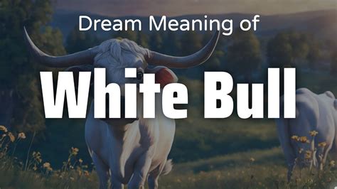 The Psychological Interpretations of Bull Dreams