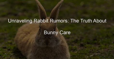 The Psychological Intrigue: Unraveling the Allure of Envisioning Enormous Bunnies