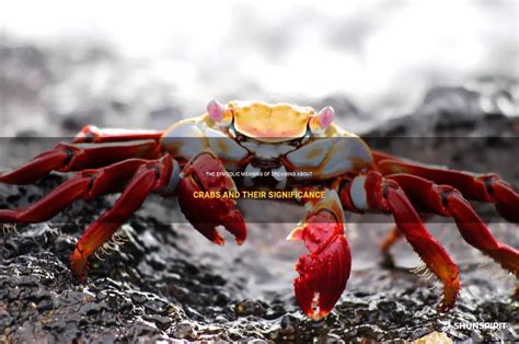 The Psychological Meaning of Dreaming About Crabs