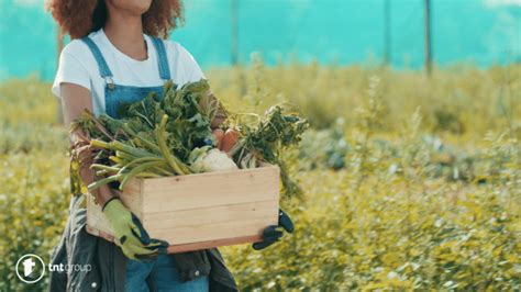 The Psychological Meaning of Dreaming About Harvesting Verdant Foliage