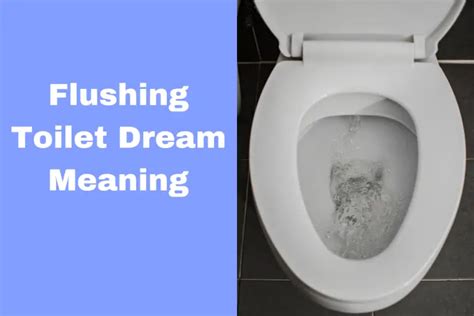 The Psychological Meaning of Flushing Toilets in Dream Imagery