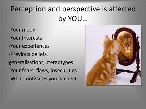 The Psychological Perspective: Unconscious Fears and Insecurities