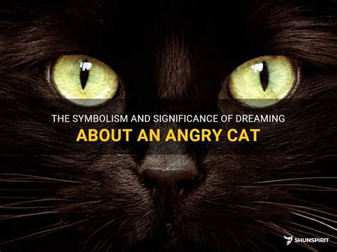 The Psychological Significance of Dreaming About Anger