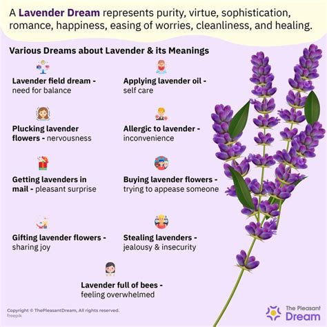 The Psychological Significance of Envisioning Lavender Glow: Insights and Interpretations