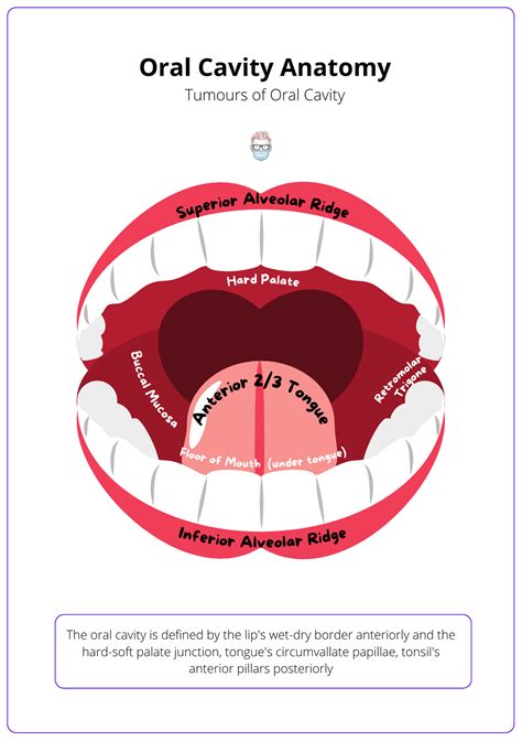 The Psychological Significance of Objects in the Oral Cavity