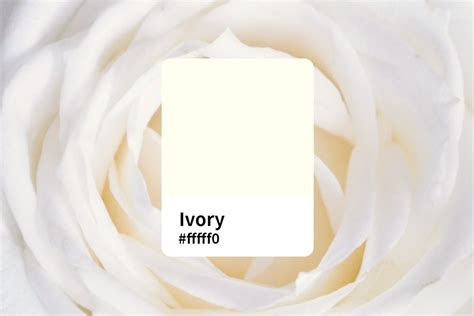 The Psychological Significance of the Color Ivory