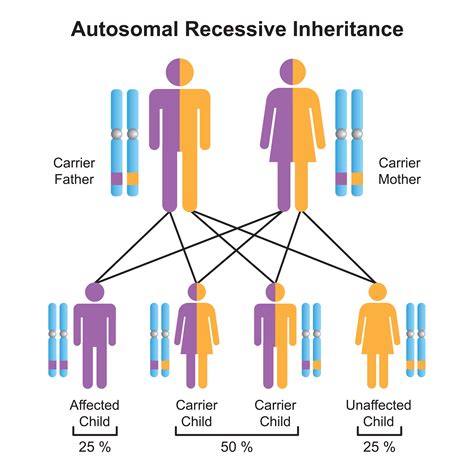 The Psychological and Genetic Implications of Cousin Relationships