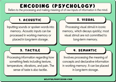 The Psychology behind Spelling and Memory